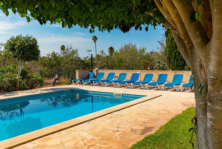 Sonnenliegen am Pool mit Rasen und Baum