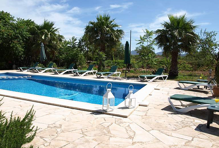 Pool Poolliegen Palmen