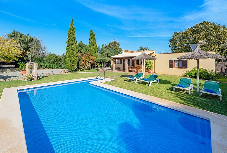 Rasen mit Sonnenliegen am Pool