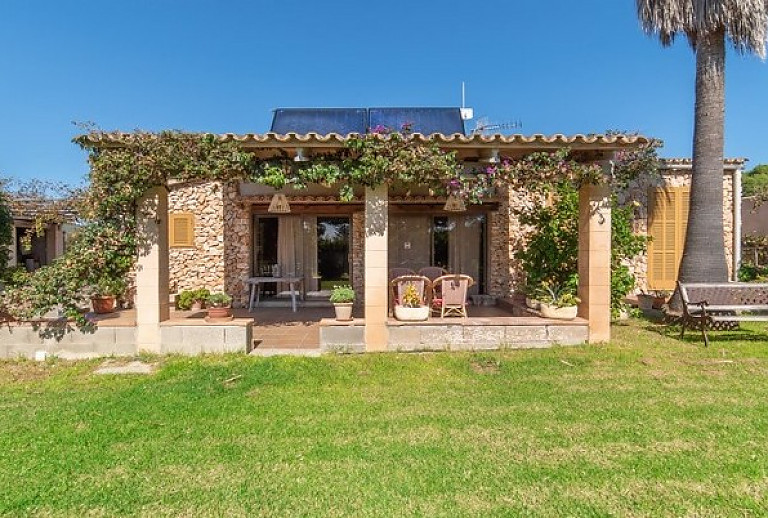 Rasen und Palme vor der Finca