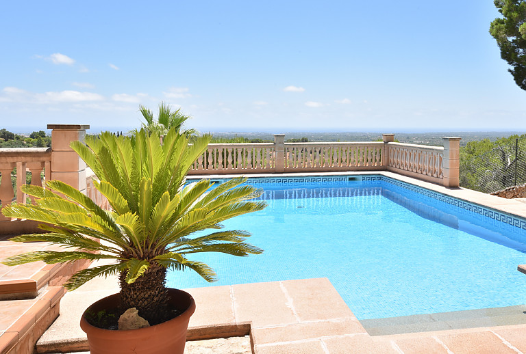 Weitblick vom Pool mit Topfpflanze