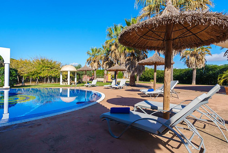 Garten mit Pool und Palmen