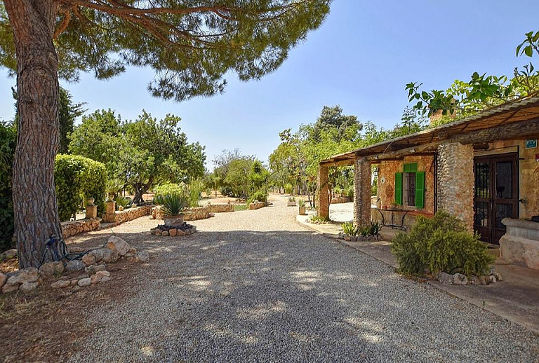 Garten mit Pflanzen vor der Finca