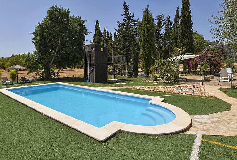 Pool im Garten mit Bäumen