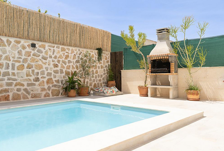 Topfpflanzen auf der Terrasse mit Pool