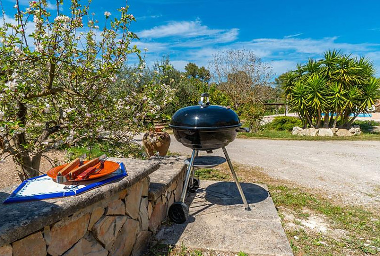 Grill im Garten mit Pflanzen