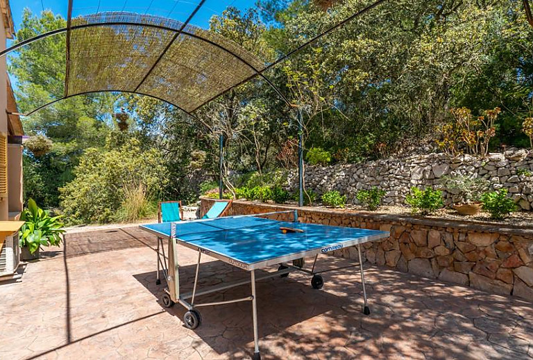 Tischtennisplatte im Garten auf einer Terrasse