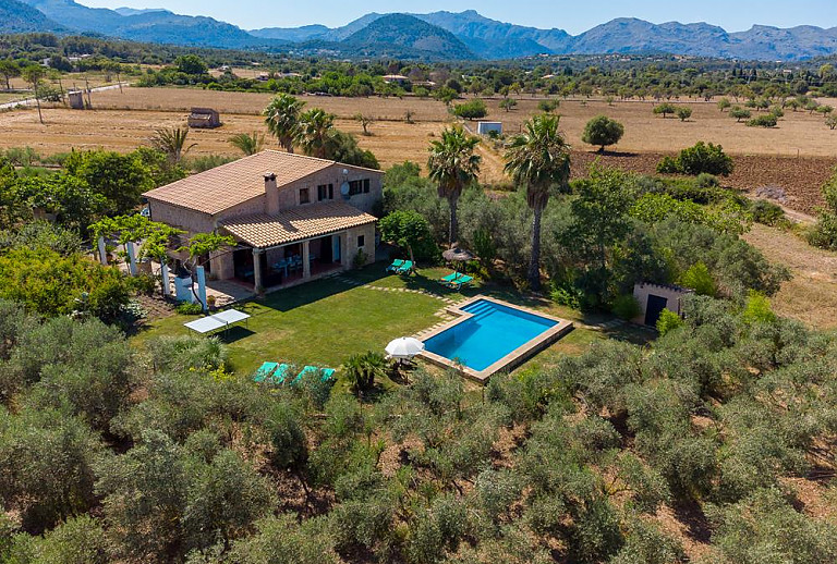 Pool mit Rasen und Palmen im Garten der Finca