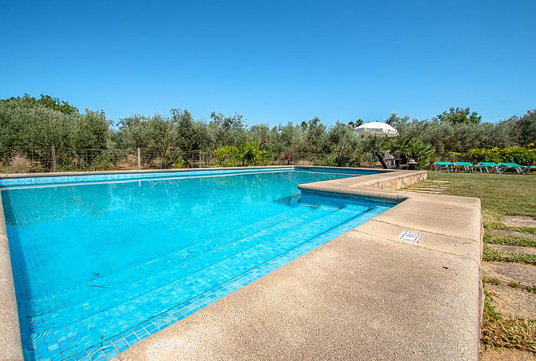 Poolliegen auf dem Rasen am Schwimmbecken