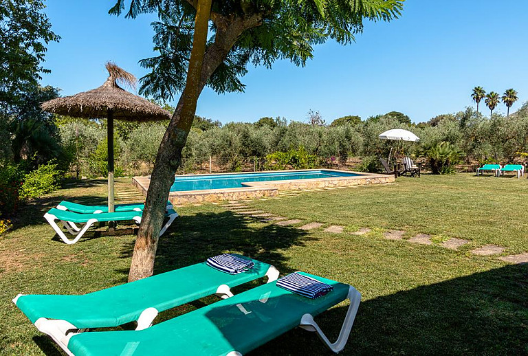 Poolliegen im Schatten der Bäume