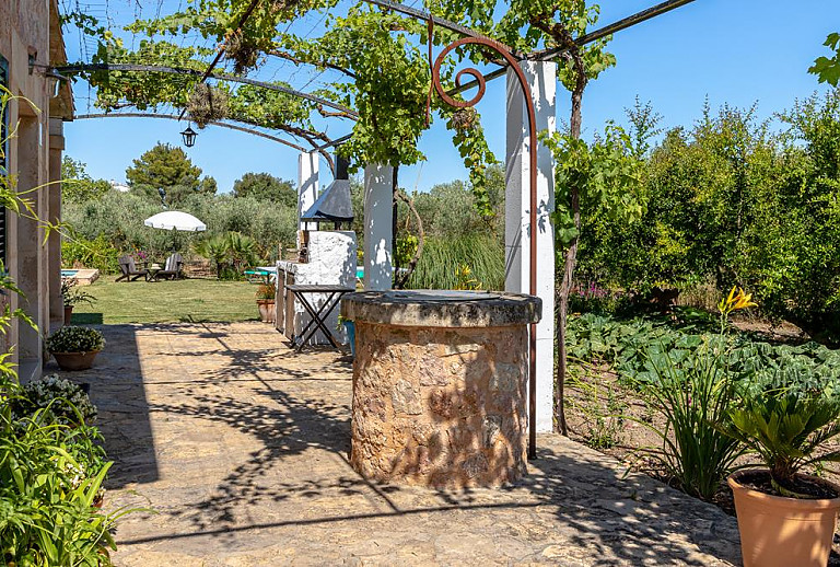 Garten mit Grill und Pflanzen