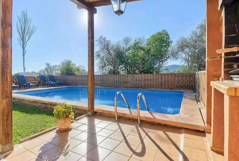 Grill und Topfpflanze am Pool