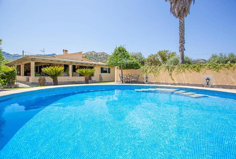 Pool im Garten mit Palmen vor der Finca