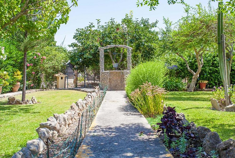 Garten mit Rasen und Pflanzen