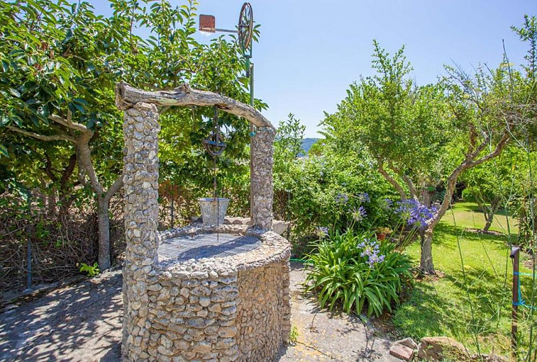 Brunnen und Pflanzen im Außenbereich