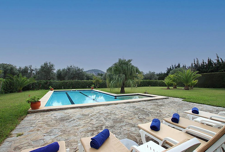 Sonnenliegen und Palmen am Pool