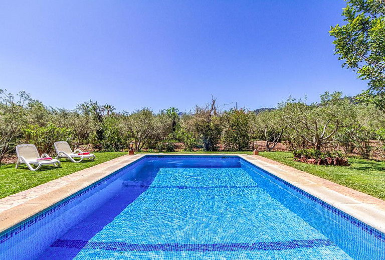 Rasen und Sonnenliegen am Pool