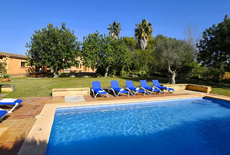 Garten mit Bäumen und Pool