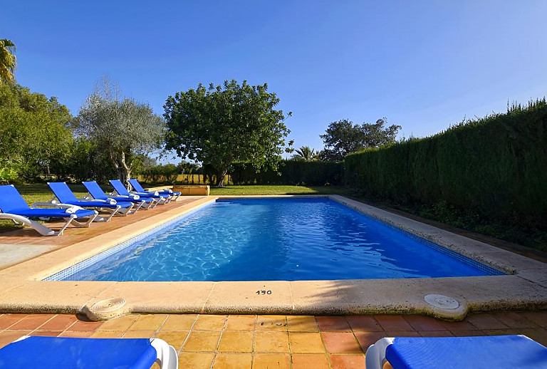 Hecke und Rasen am Pool