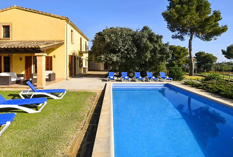 Rasen mit Sonnenliegen am Pool