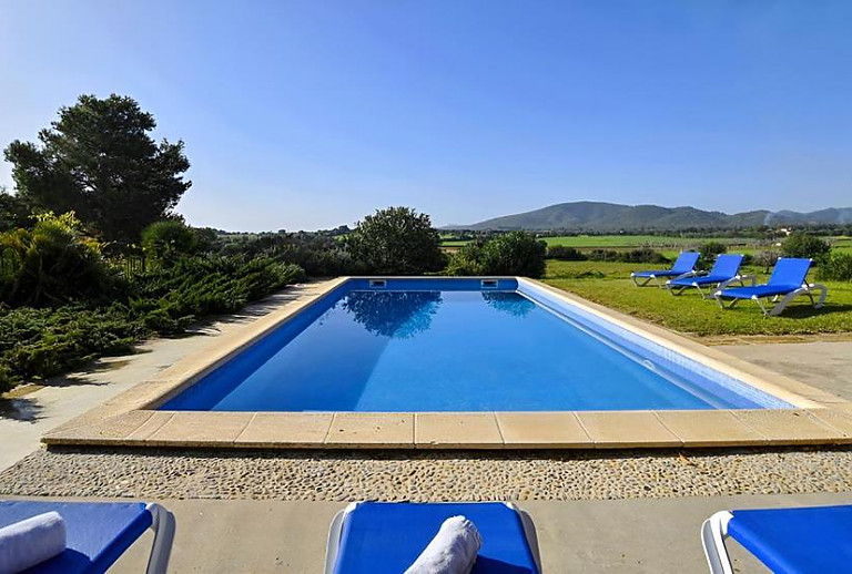Bäume und Büsche am Pool