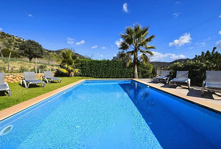 Pool mit Sonnenliegen und Palme