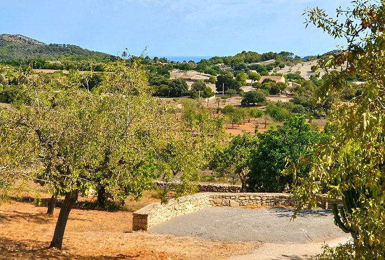 Umliegende Landschaft mit Zufahrt