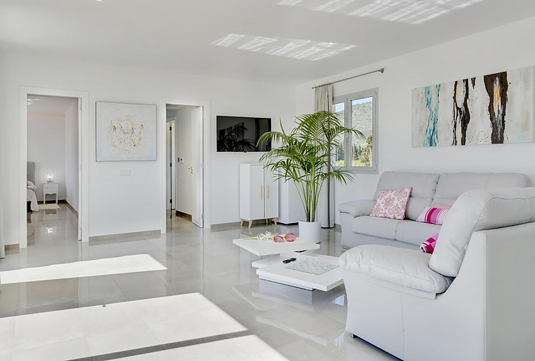 Fernseher und Palme im Wohnzimmer