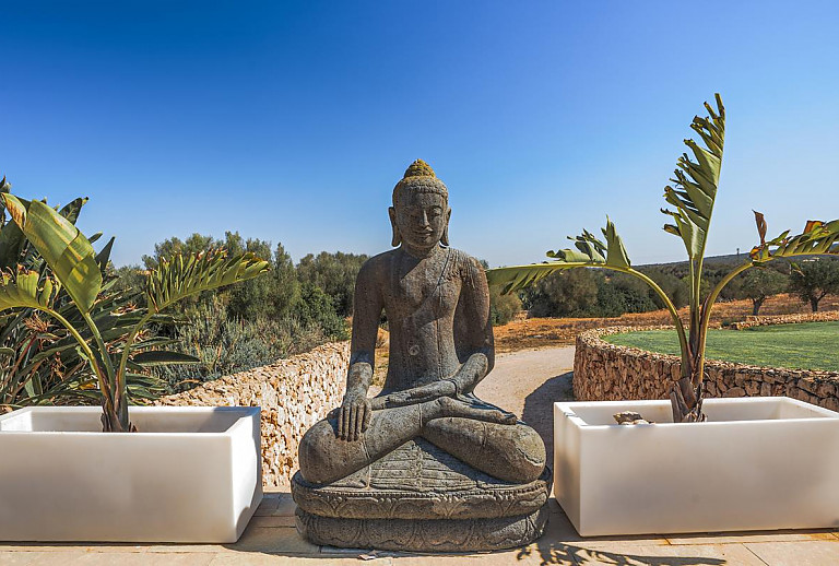 Garten mit Topfpflanzen und Mauern