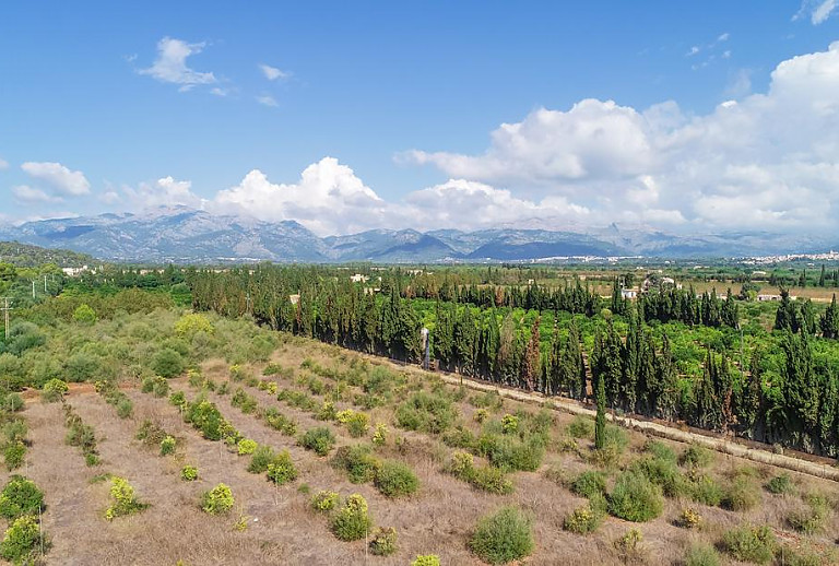Blick auf die umliegende Landschaft