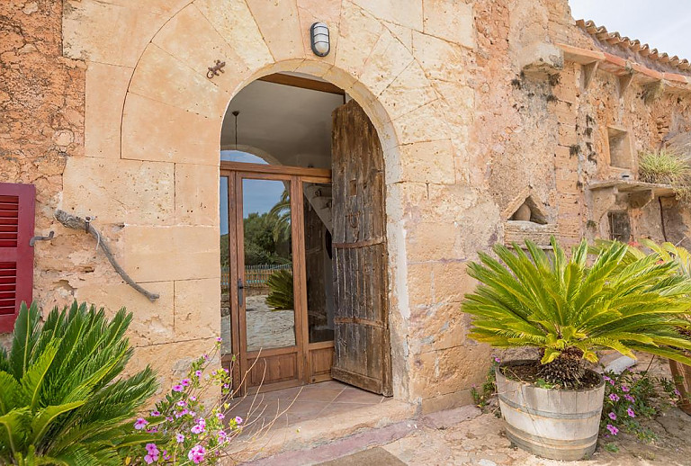 Eingangsbereich mit Topfpflanzen