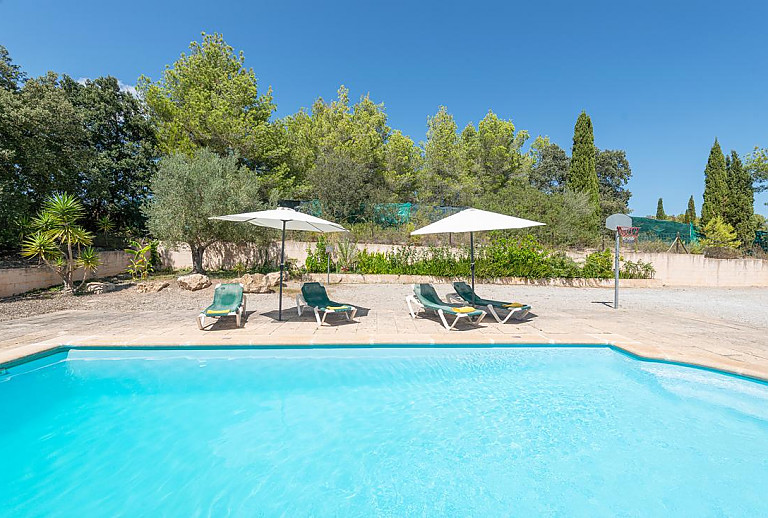 Bäume am Pool mit Sonnenliegen