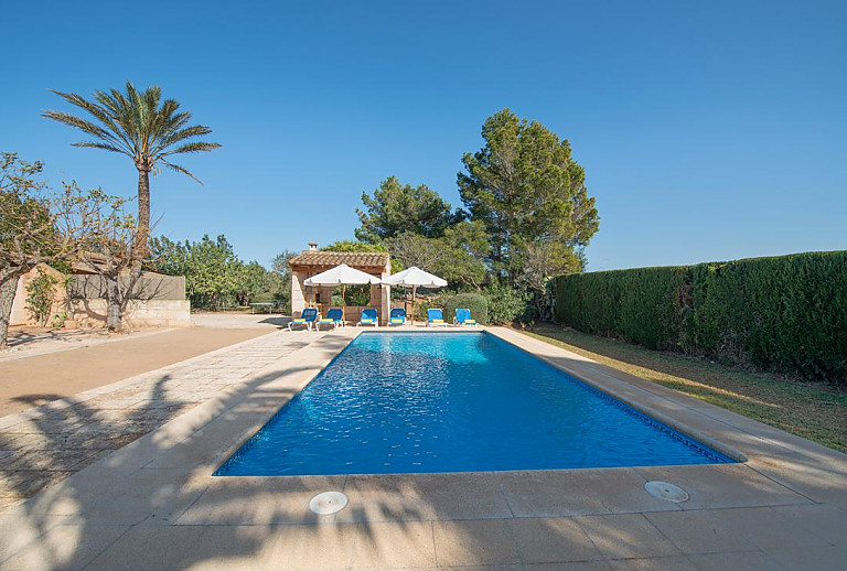 Bäume und Palmen am Pool