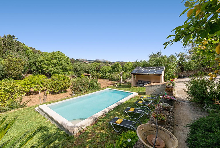 Poolbereich mit Mauer und Topfpflanzen