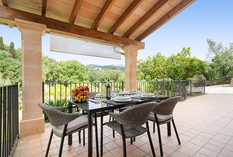 Terrasse mit Vordach und Blick in den Garten