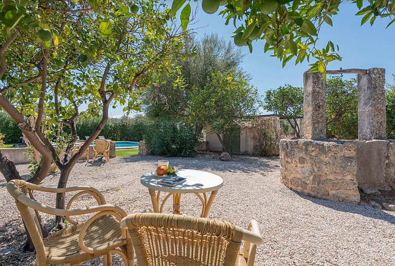 Bäume und Gartenmöbel im Außenbereich