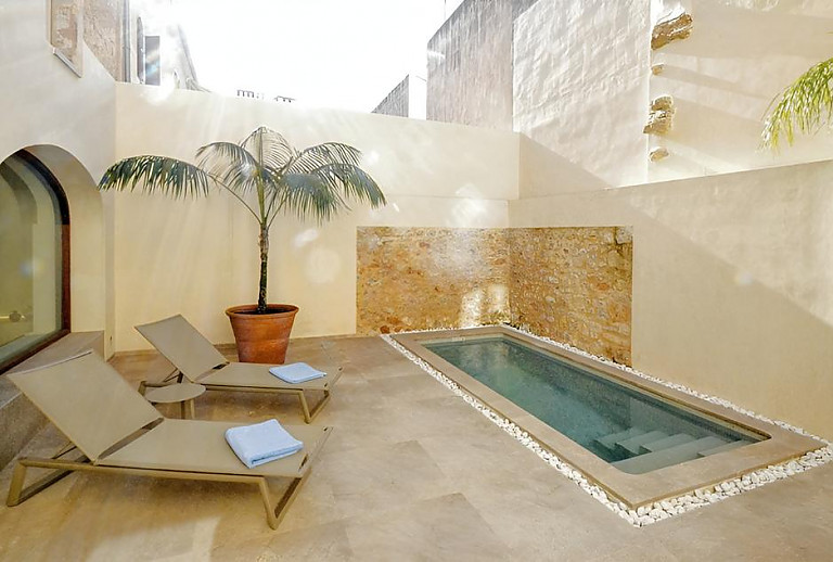 Topfpflanze am Pool mit Sonnenliegen