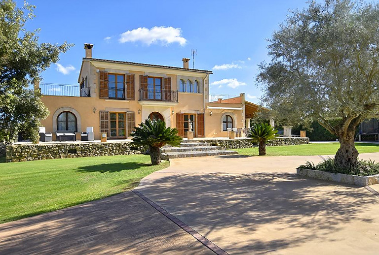 Olivenbaum vor der Finca