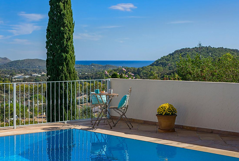 Topfpflanzen und Gartenmöbel am Pool