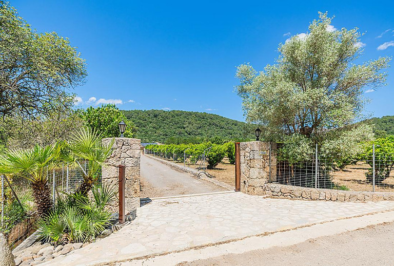 Tor und Zufahrt zur Finca