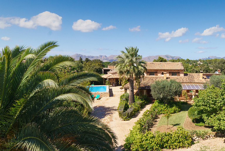 Palmen Finca Büsche Bäume Pool