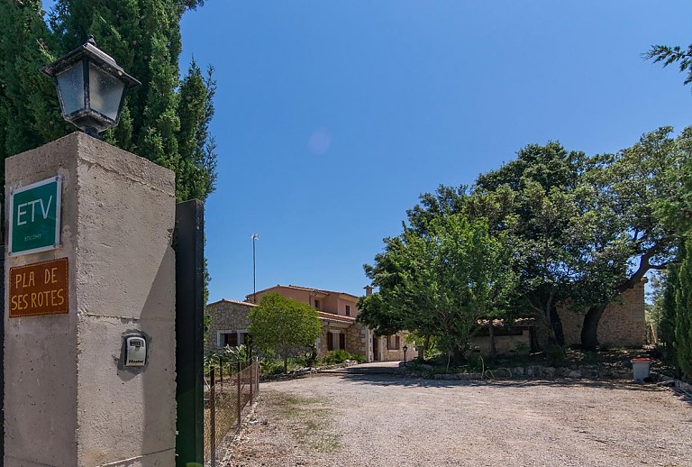 Zufahrt Finca Pflanzen Himmel